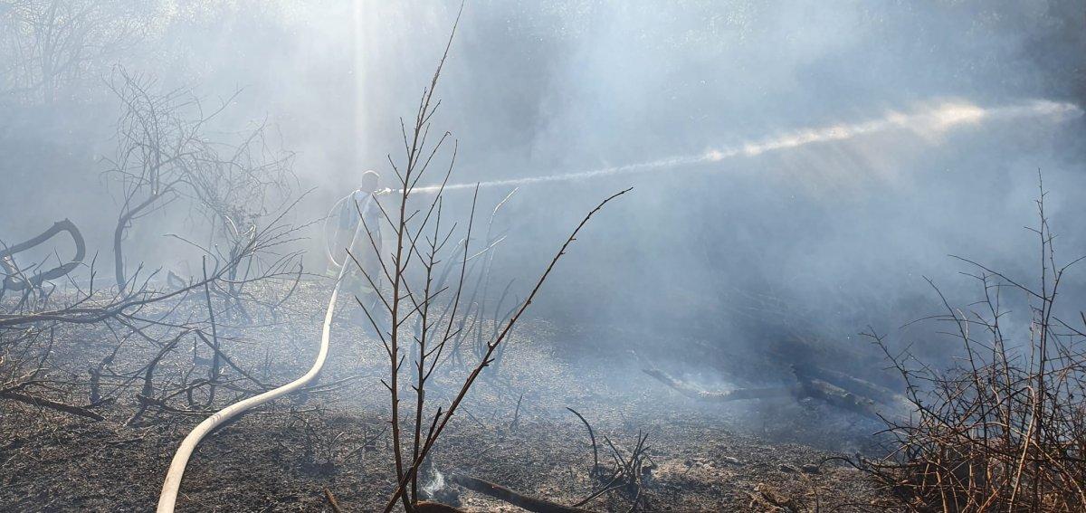 Balıkesir’de elektrik direğine çarpan atmaca yangına neden oldu