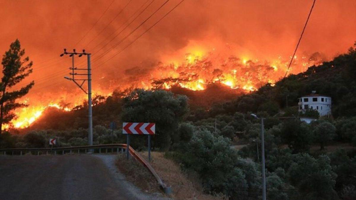 Yangın bölgelerindeki mücadelenin 5 günlük bilançosunu açıkladı