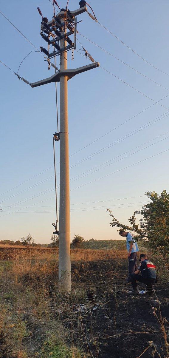 Balıkesir’de elektrik direğine çarpan atmaca yangına neden oldu