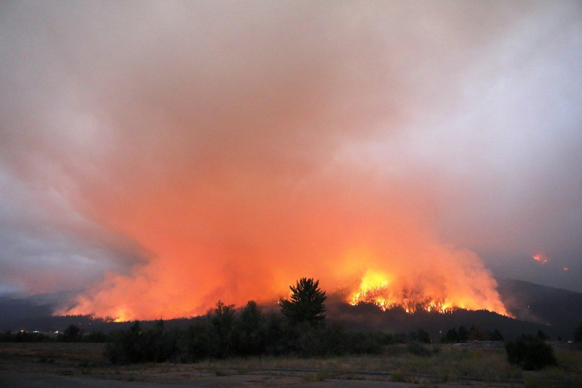 ABD'de orman yangınları devam ediyor