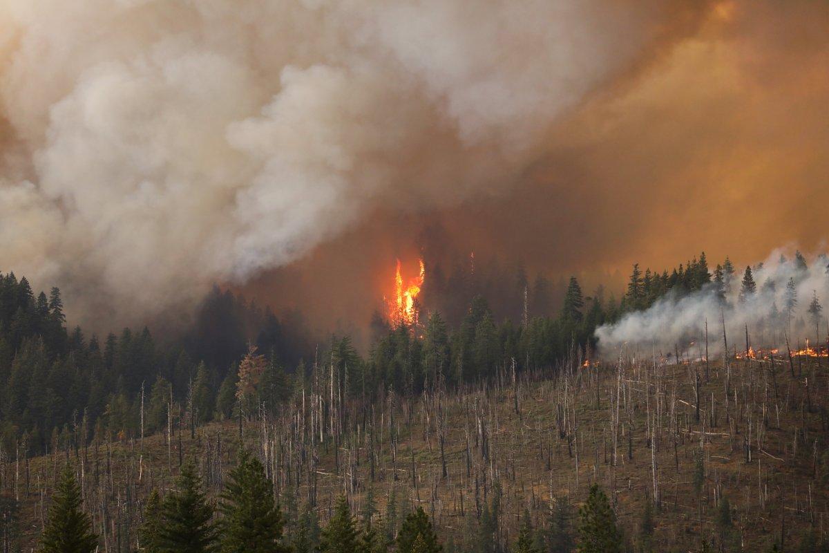ABD'de orman yangınları devam ediyor