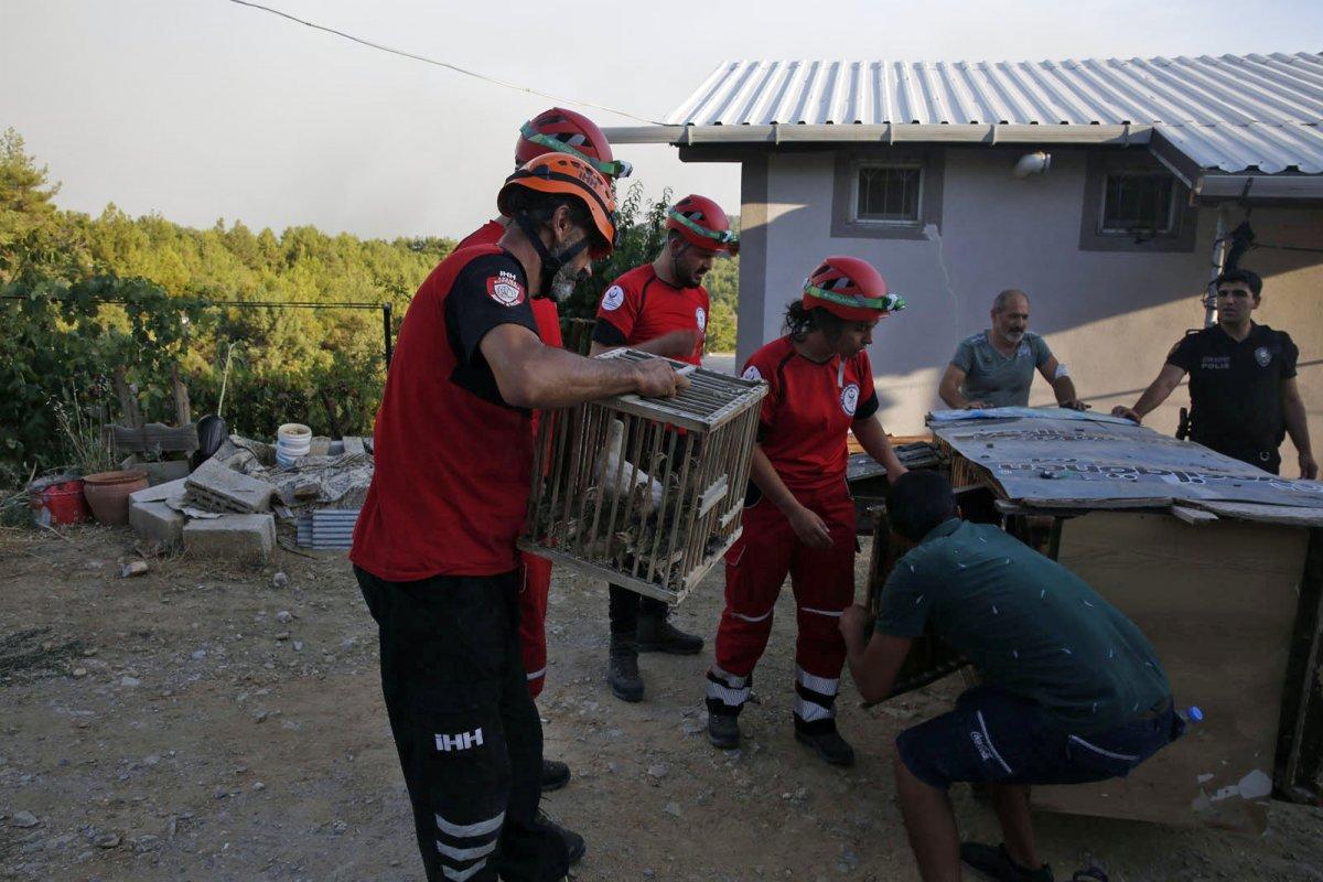 İHH ekipleri yangın bölgelerinde