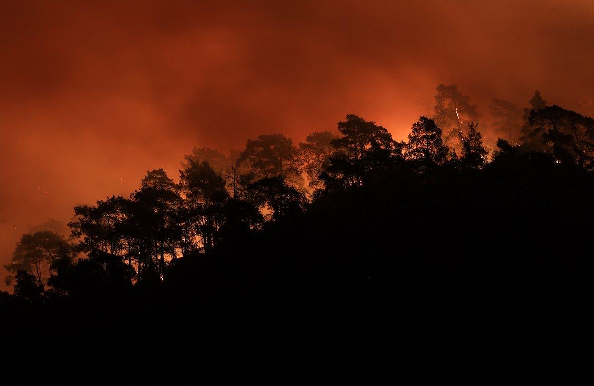 Türkiye'de orman yangınlarının devam ettiği bölgeler