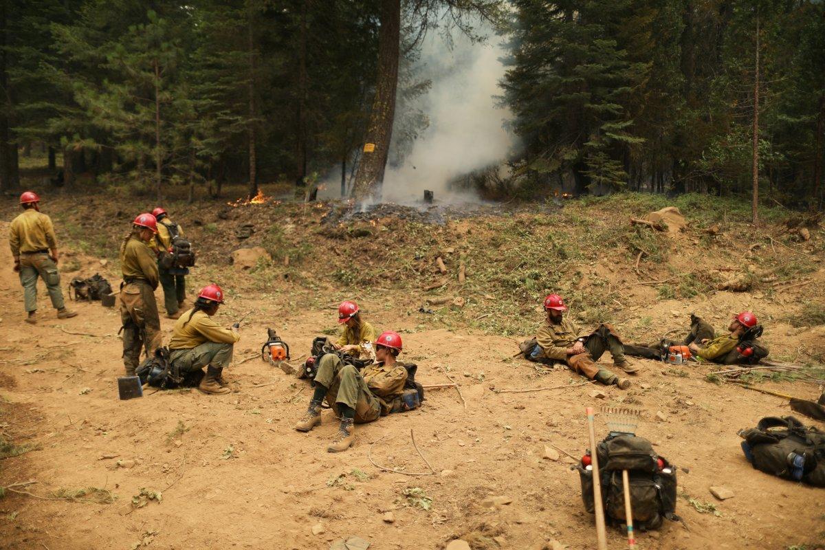 ABD'de orman yangınları devam ediyor