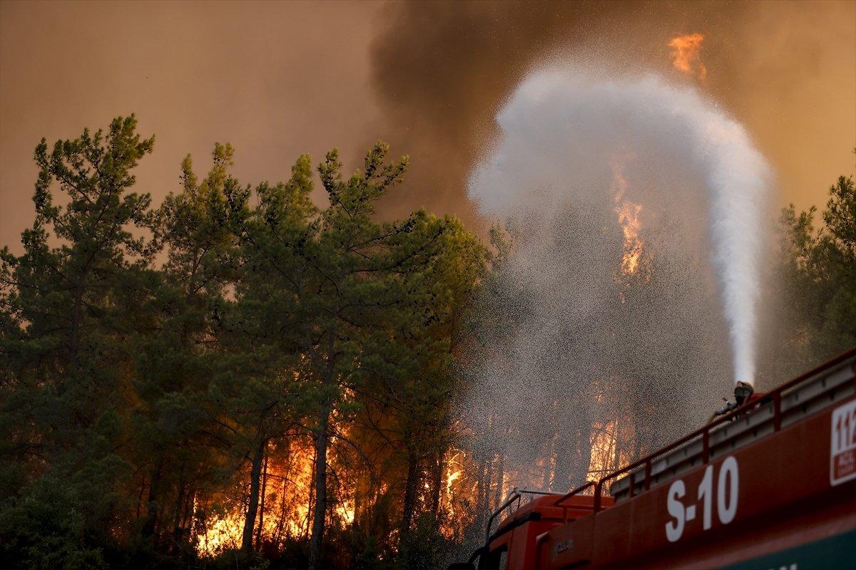 Türkiye'de orman yangınlarının devam ettiği bölgeler