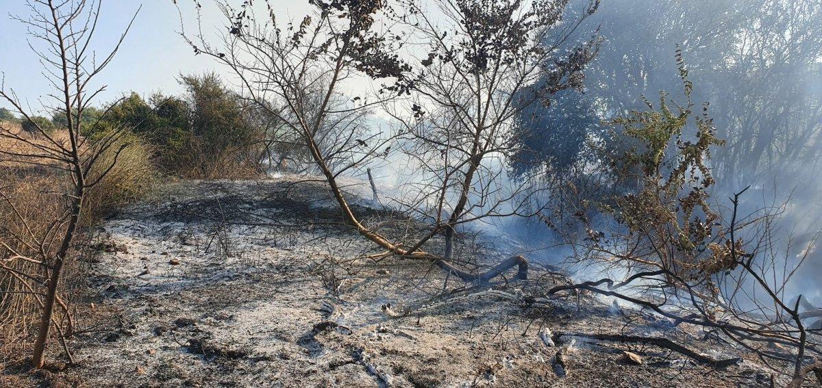Balıkesir’de elektrik direğine çarpan atmaca yangına neden oldu
