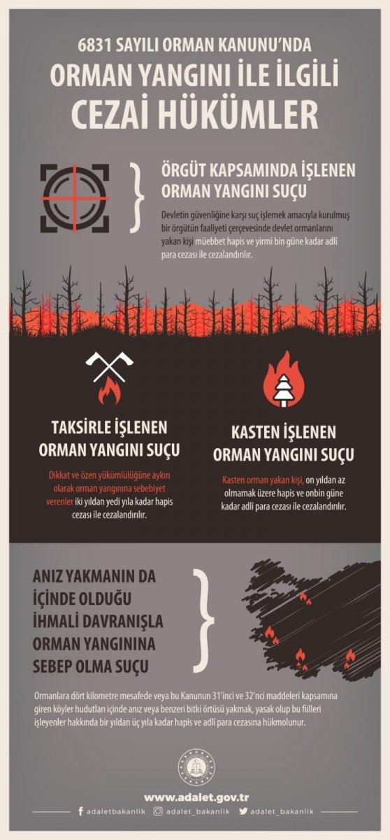 Milyonların merak ettiği soru: Orman yakmanın cezası nedir?