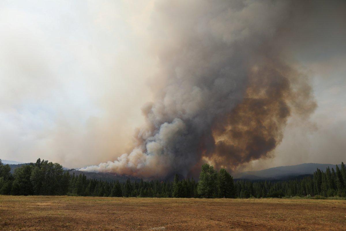 ABD'de orman yangınları devam ediyor