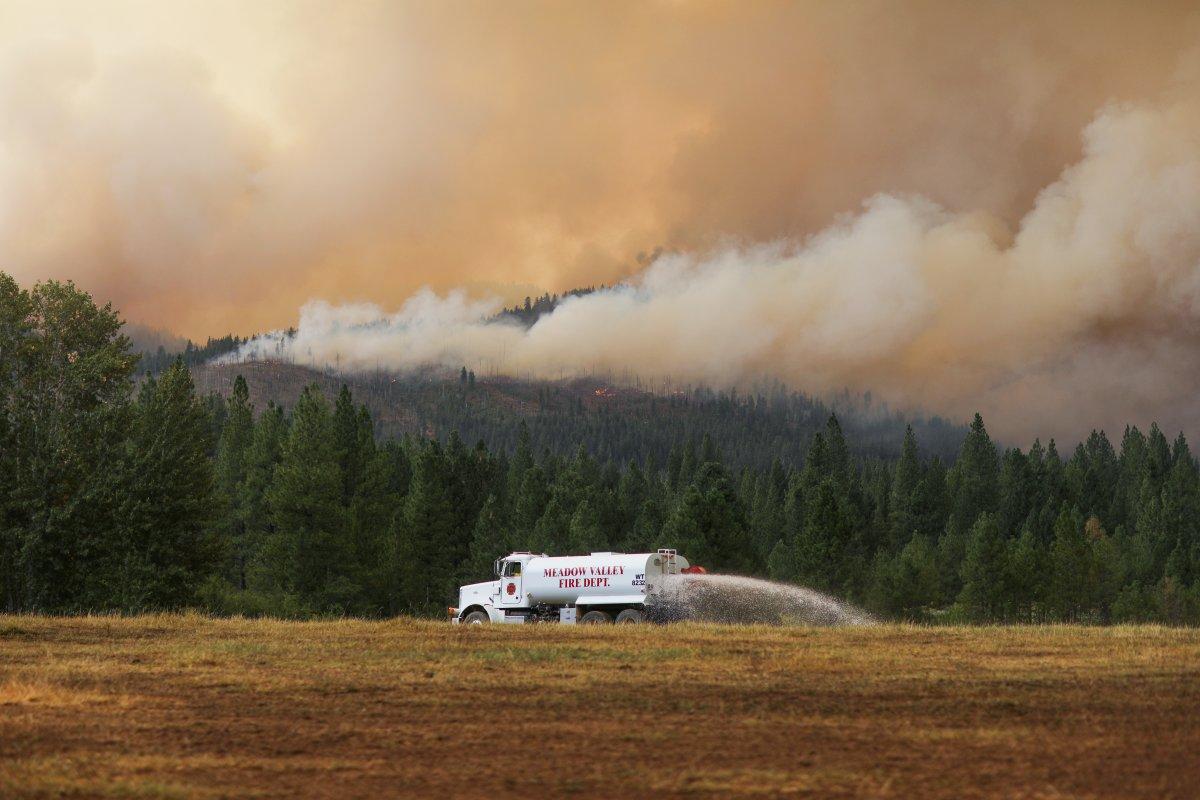 ABD'de orman yangınları devam ediyor