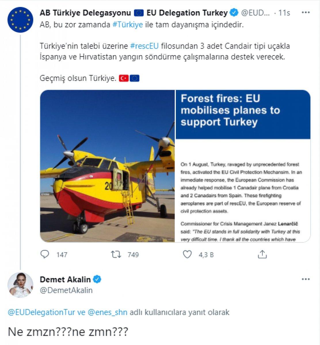 AB Türkiye Delegasyonu, Demet Akalın'ın sorusunu cevapsız bırakmadı