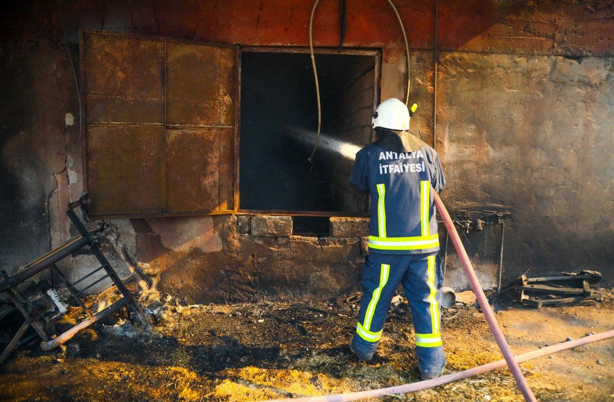 İzmir’de itfaiye eri balayını iptal edip söndürme çalışmalarına katıldı