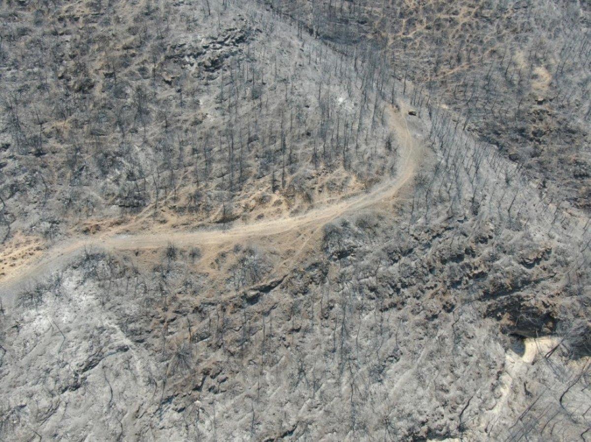 Antalya Manavgat'ta söndürülen alanlar havadan görüntülendi