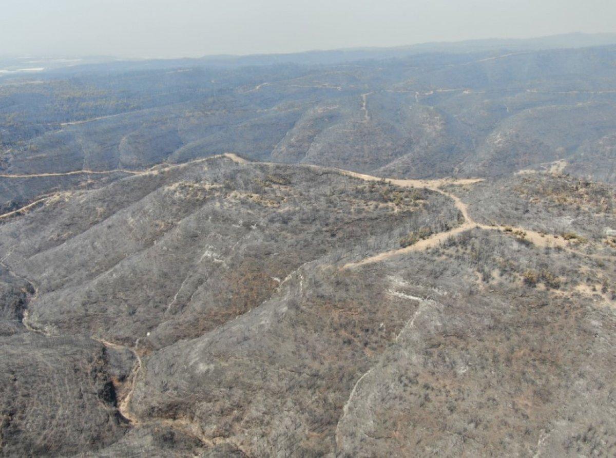 Antalya Manavgat'ta söndürülen alanlar havadan görüntülendi