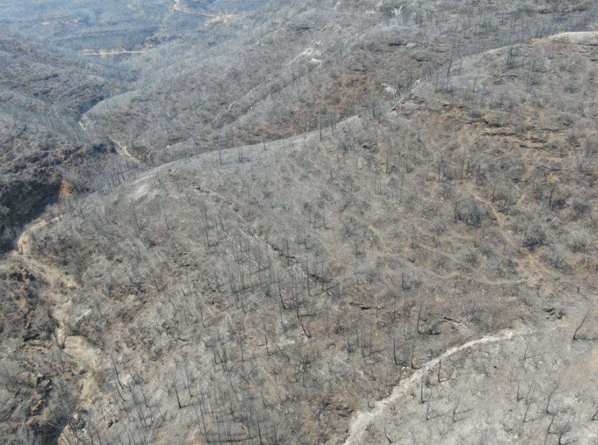 Antalya Manavgat'ta söndürülen alanlar havadan görüntülendi