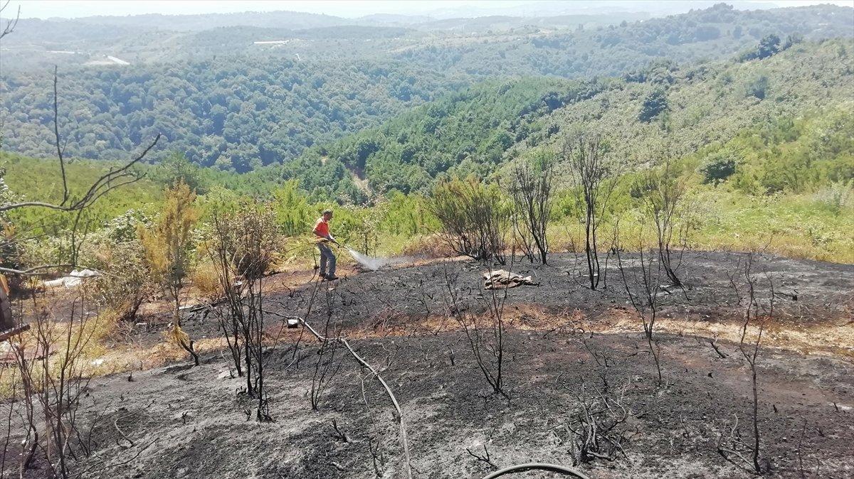 Zonguldak'ta ormanlık alanda çıkan yangın söndürüldü