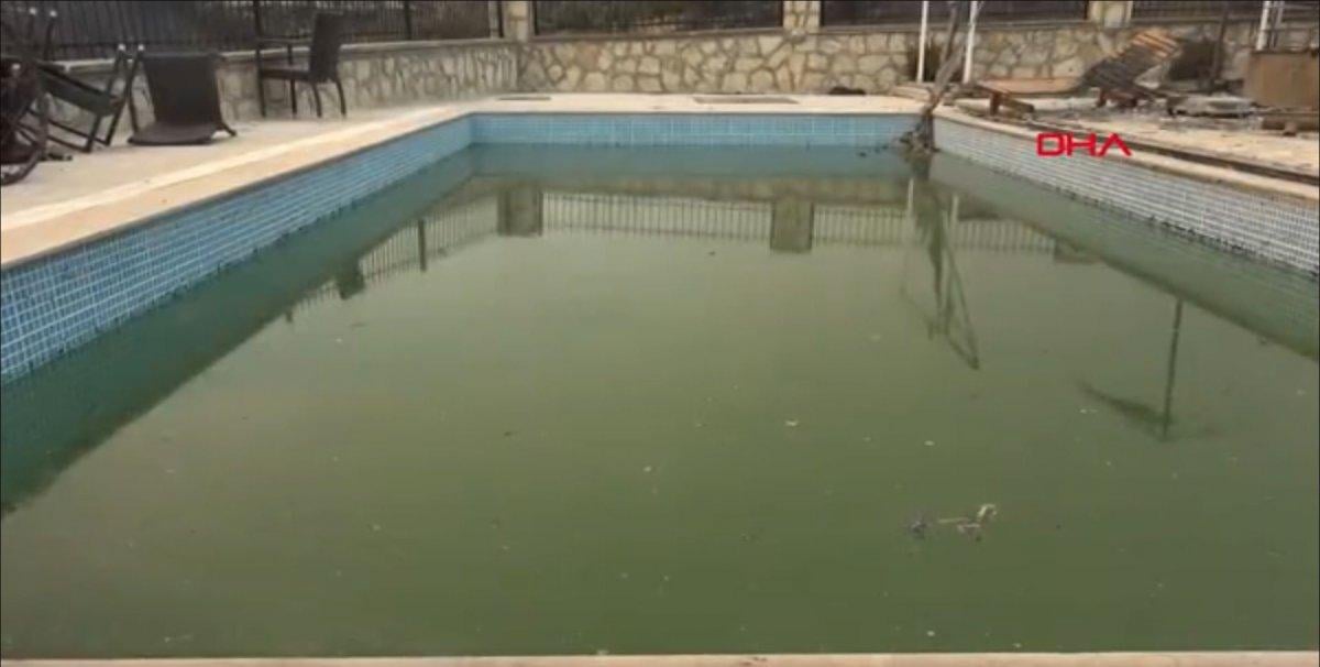 Antalya’da 6 kişilik aile, yangından kurtulmak için havuza sığındı