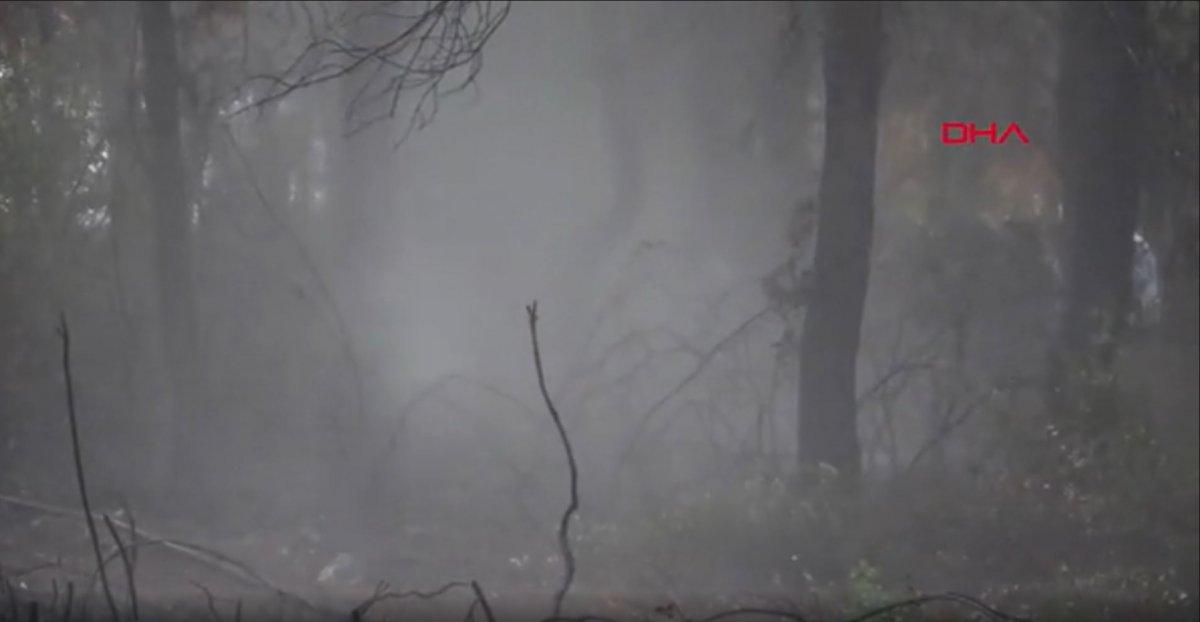 İzmir'de söndürme çalışmalarında halk ekiplere destek oldu