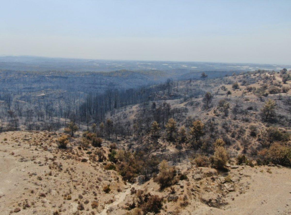 Antalya Manavgat'ta söndürülen alanlar havadan görüntülendi