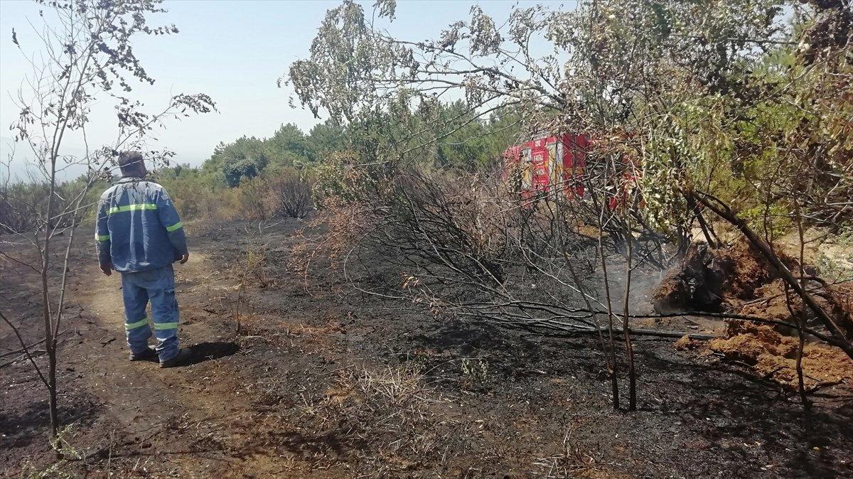 Zonguldak'ta ormanlık alanda çıkan yangın söndürüldü