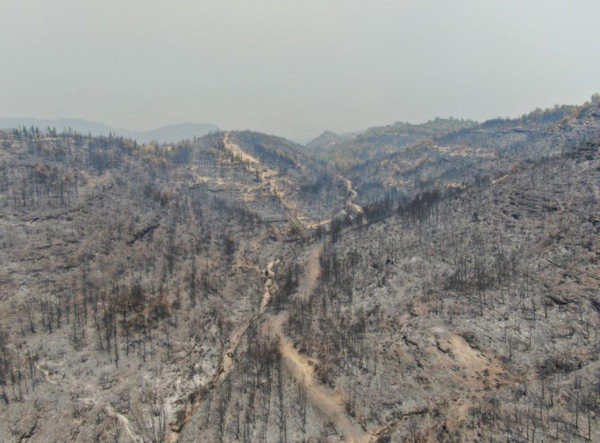 Antalya Manavgat'ta söndürülen alanlar havadan görüntülendi