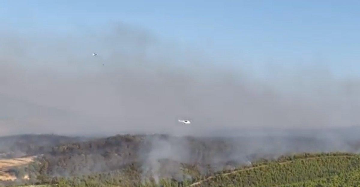 Orman yangınlarına havadan müdahalenin görüntüleri