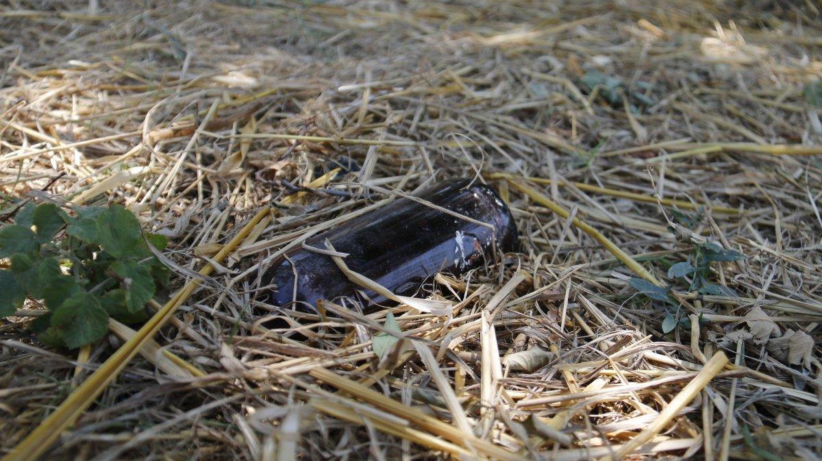 İstanbul'daki yeşillik alanlar kuruyor