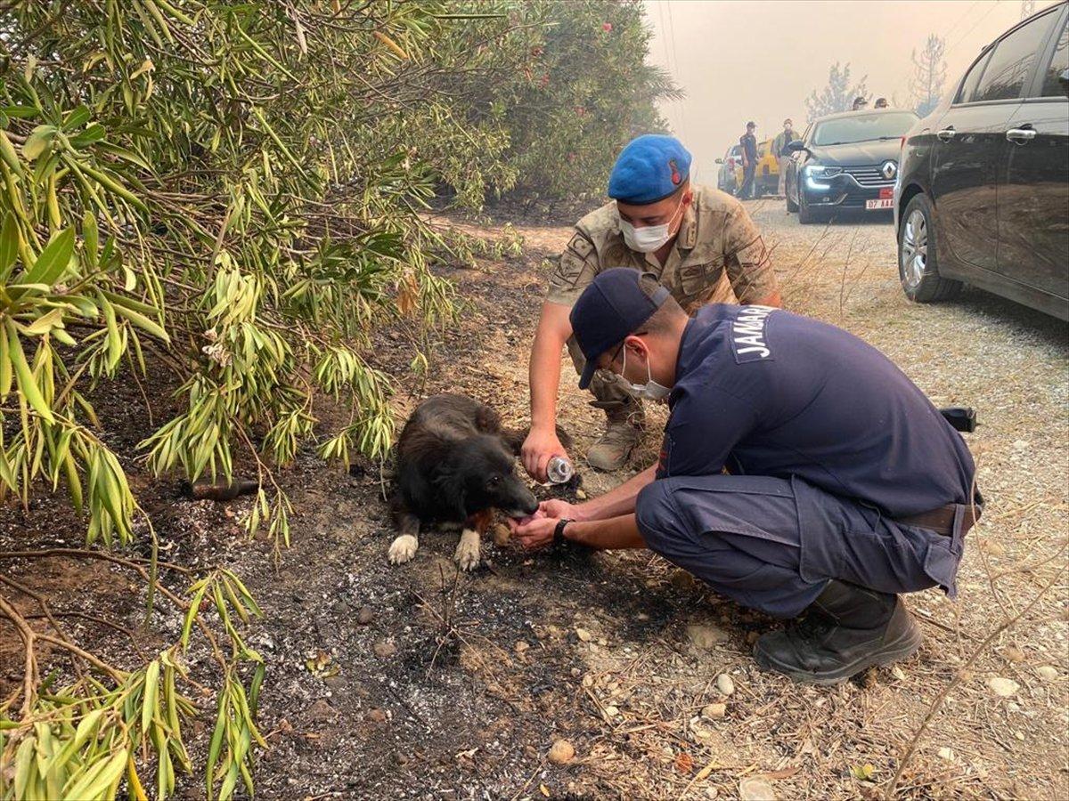 Antalya’da yangın bölgesindeki ekipler, vatandaşlar için seferber oldu