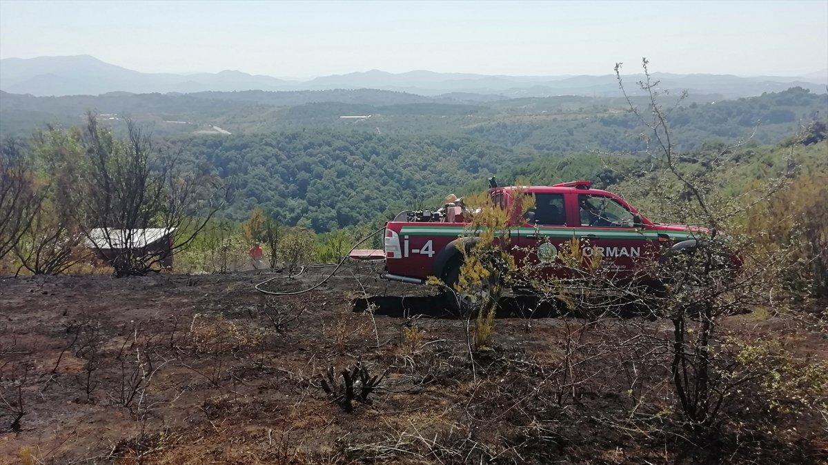 Zonguldak'ta ormanlık alanda çıkan yangın söndürüldü
