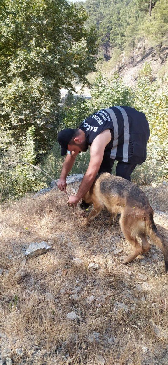 Antalya'da yangın görevlisi, yemeğini köpekle paylaştı