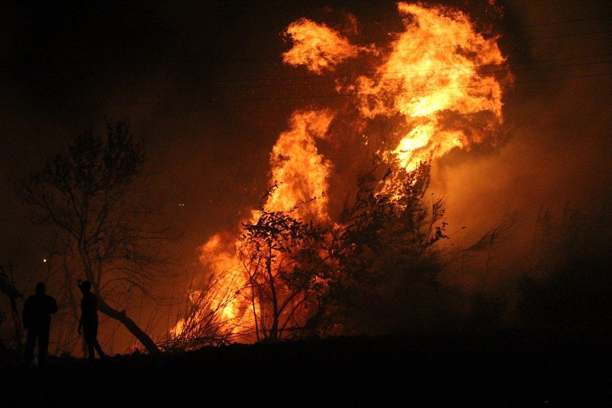 Hatay'da otluk alanda çıkan yangın kontrol altına alındı