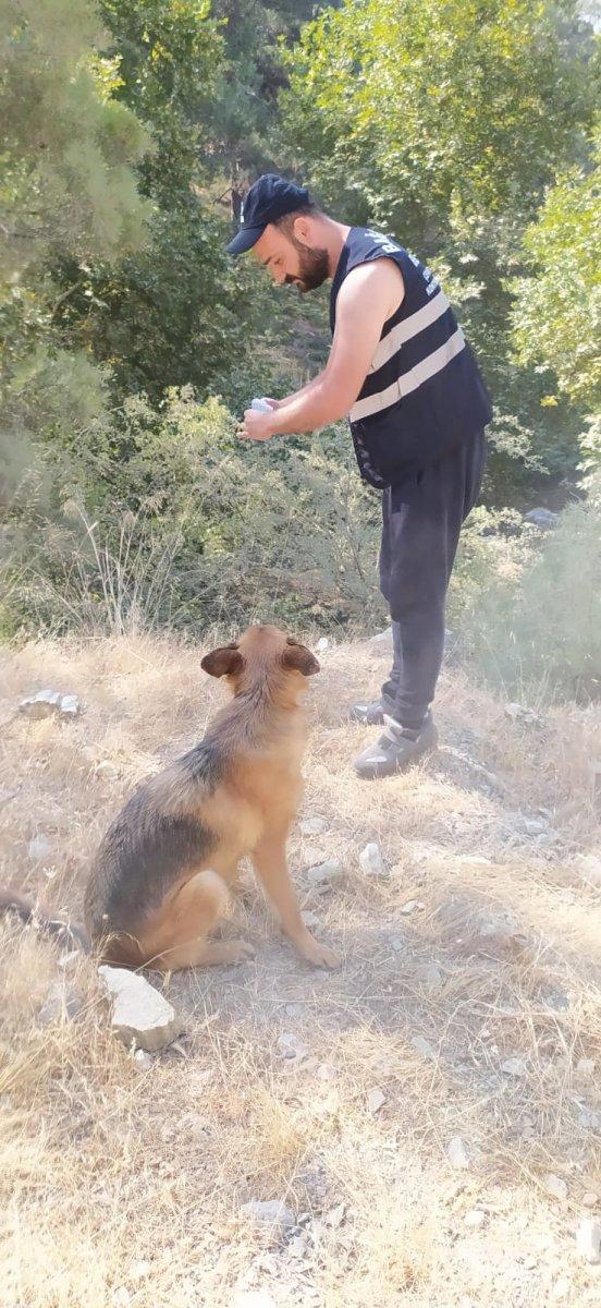 Antalya'da yangın görevlisi, yemeğini köpekle paylaştı