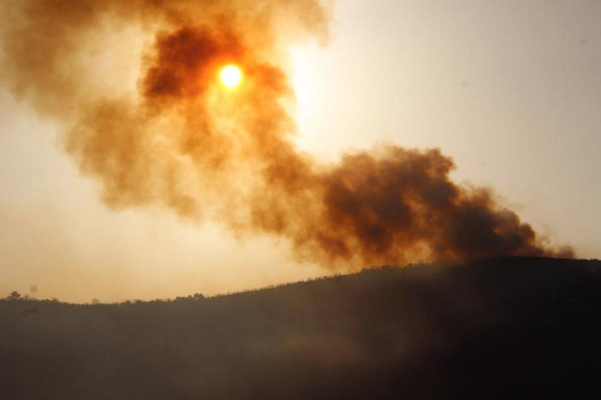 Muğla'da 40 bin hektarlık alan yangından zarar gördü