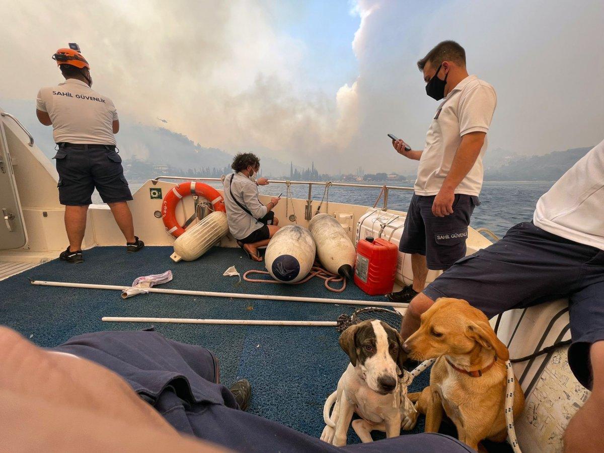 Marmaris'teki Turgut Mahallesi boşaltılıyor