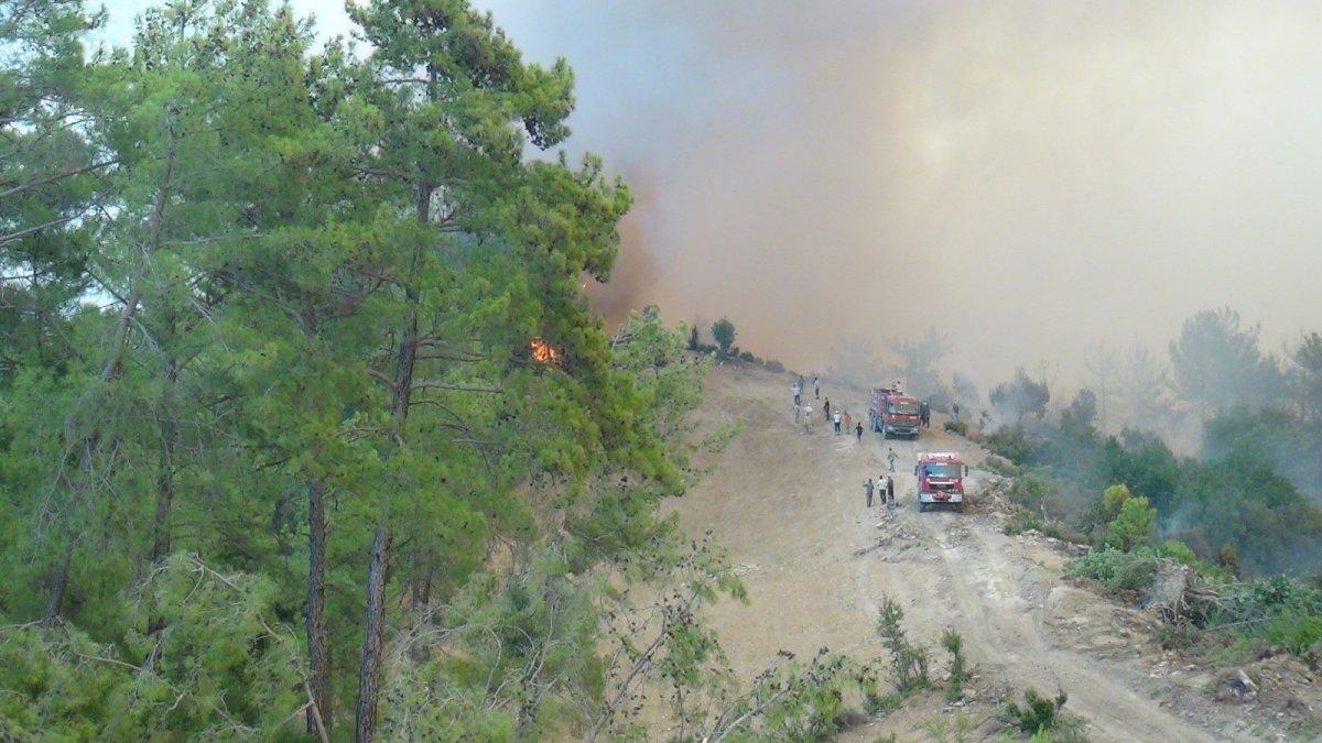 Manavgatlı muhtarın zor anları: Dayanamıyoruz