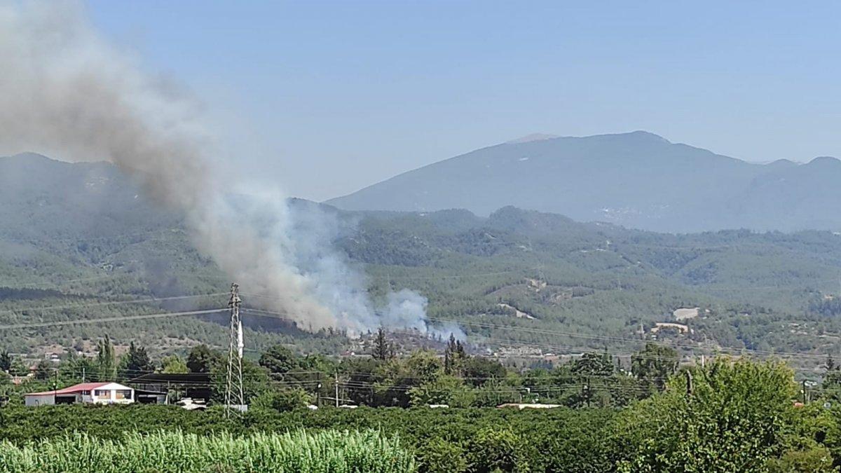 Hatay Dörtyol'da yangın çıktı