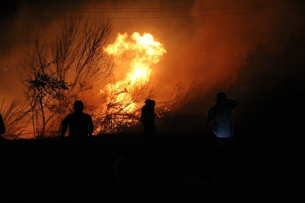 Hatay'da otluk alanda çıkan yangın kontrol altına alındı