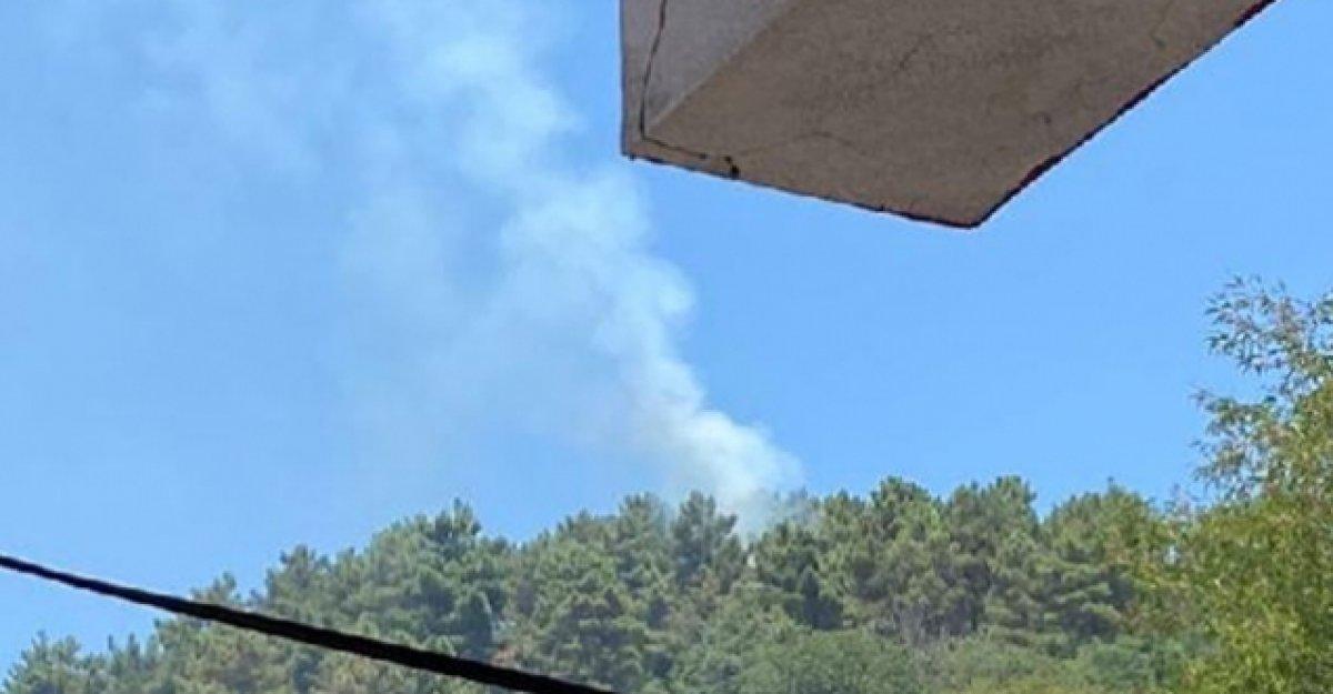 İstanbul'da yangın mı çıktı? Beykoz'dan korkutan haber!