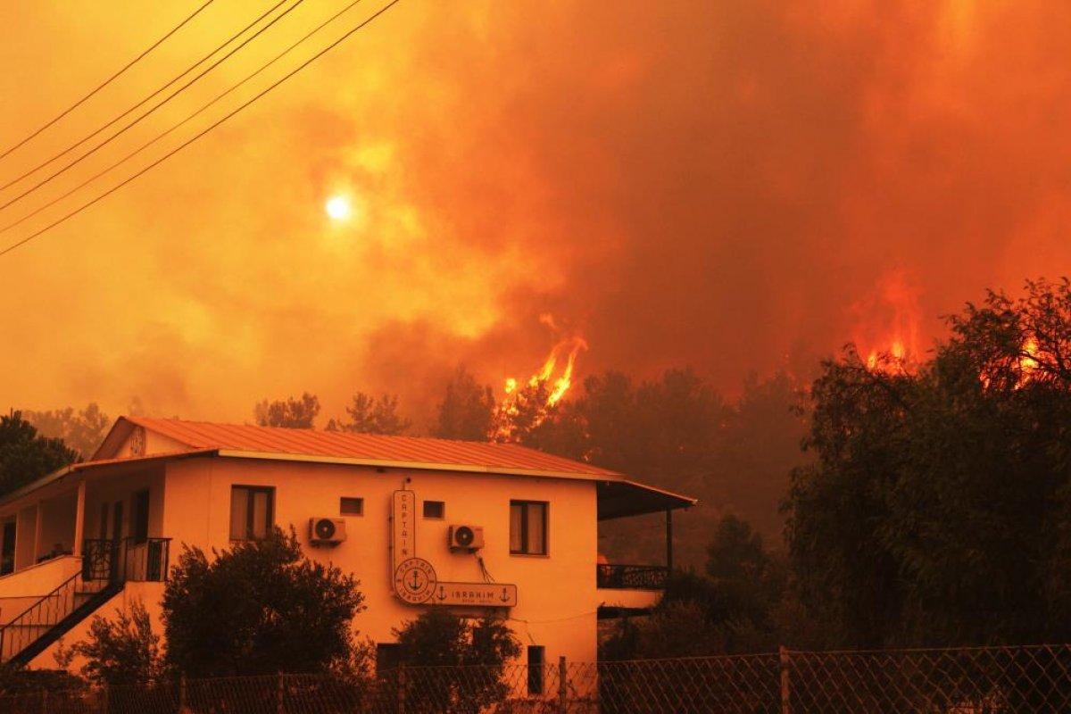 Muğla'da 40 bin hektarlık alan yangından zarar gördü