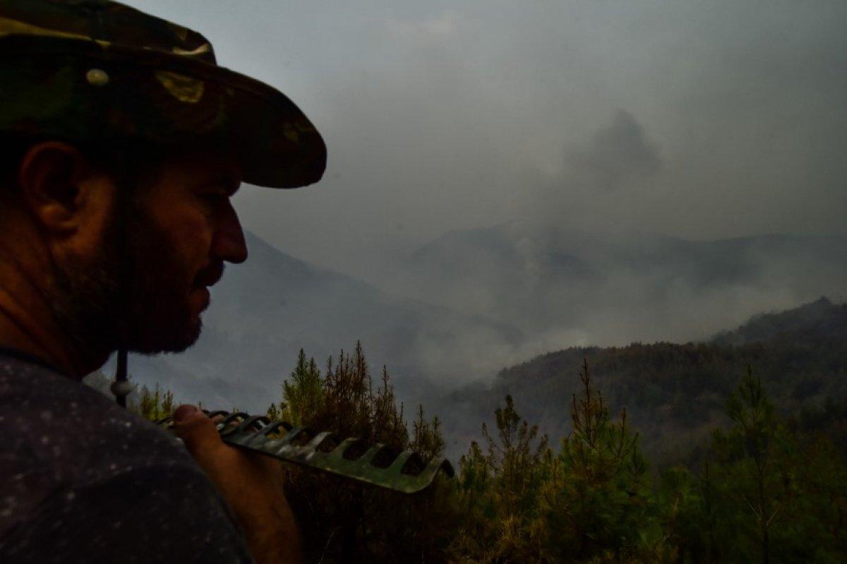 Muğla Köyceğiz'de mahalleli yangını çaresizlikle izledi