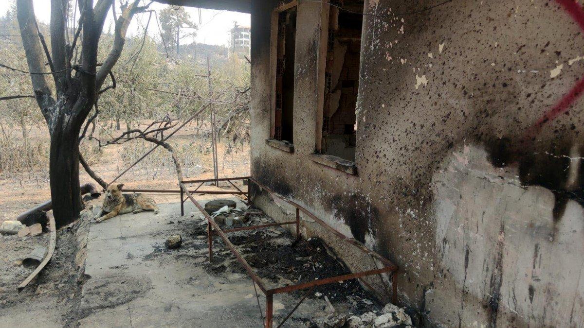 Antalya’da bahçesindeki karpuzları itfaiyeye verdi