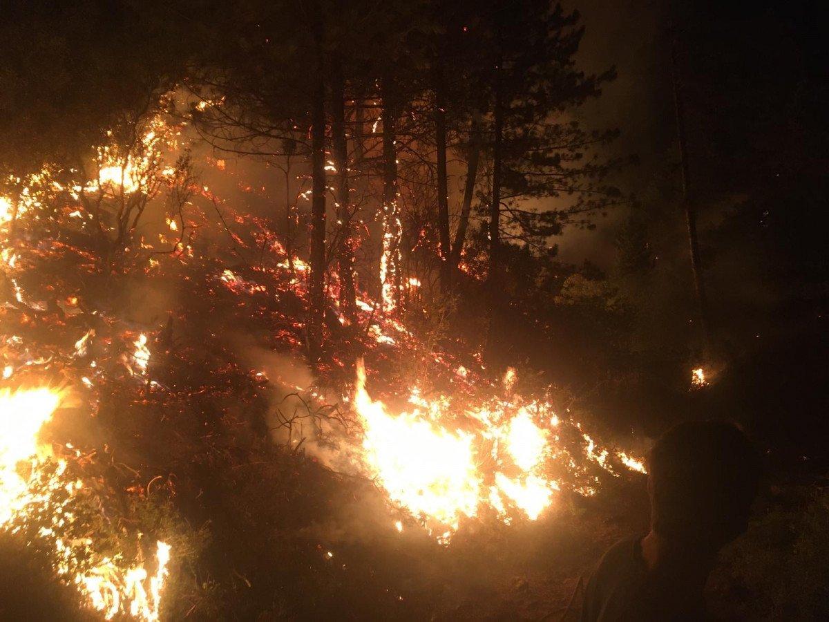 Aydın'da bir mahallede kısmi tahliye
