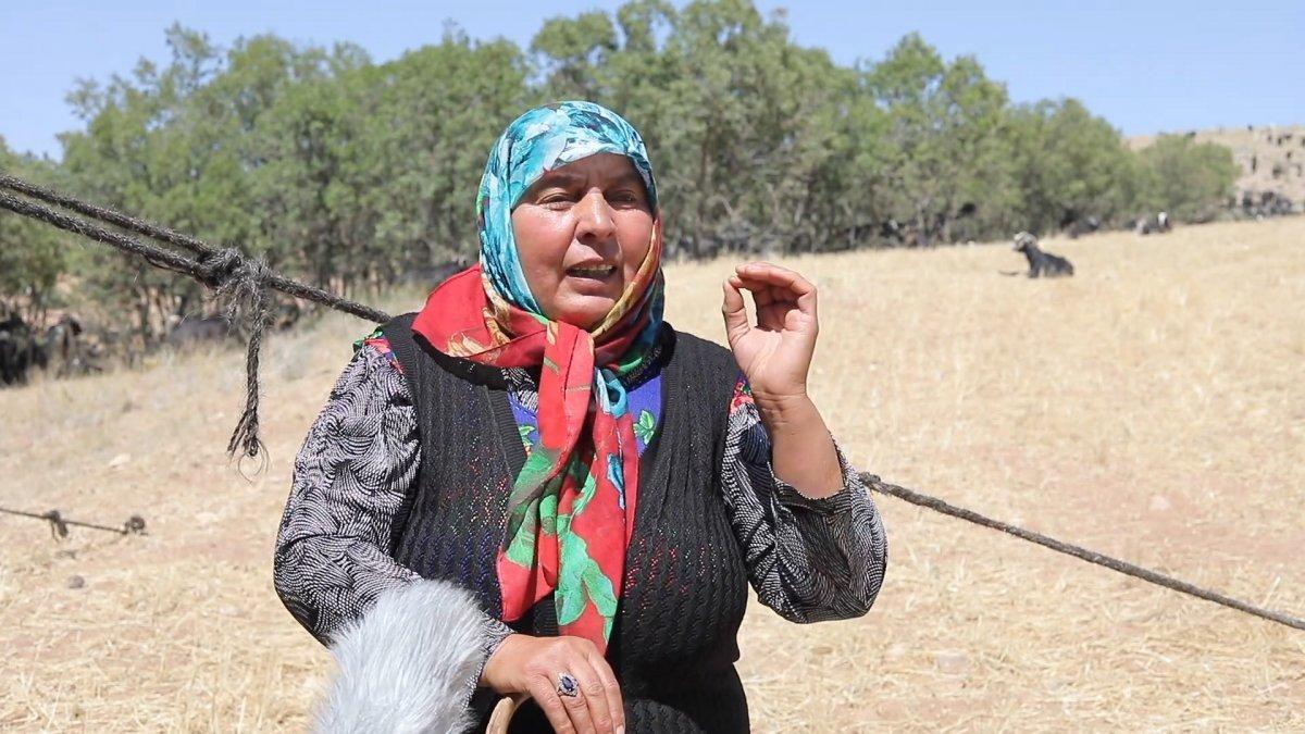 Pervin Çoban Savran orman yangınlarının sebebini anlattı