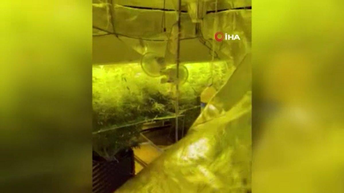 Ankara'da evini uyuşturucu serasına çevirdi