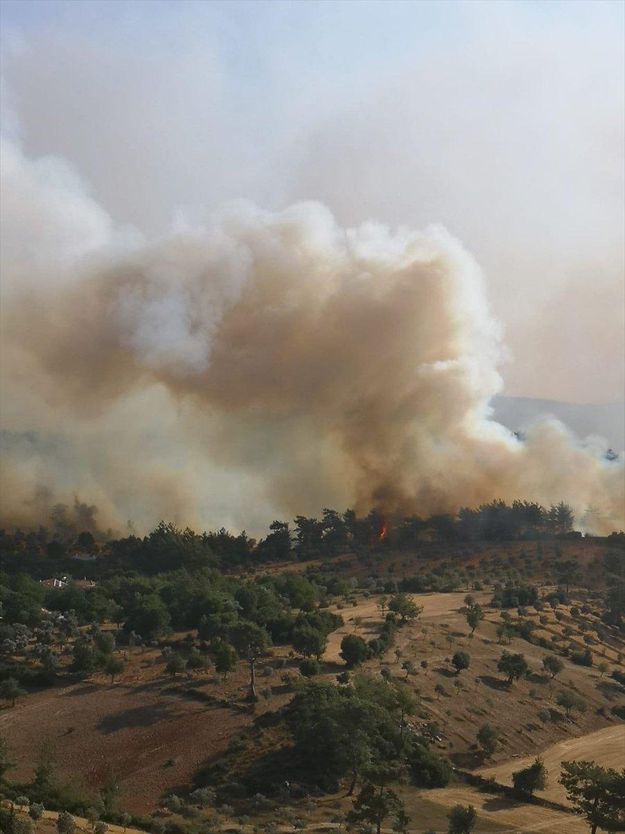 Milas'taki yangında mahsur kalan kişi helikopterle kurtarıldı