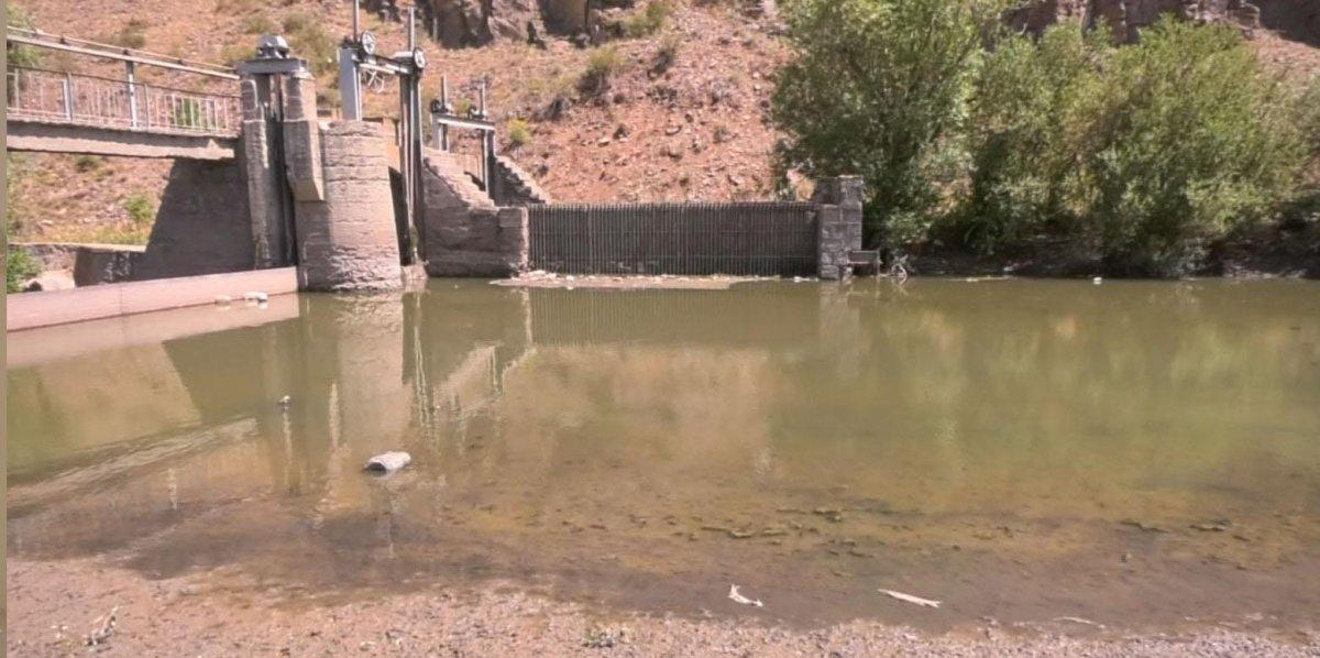 Kars Çayı'nda balık ölümleri yaşanmaya başladı