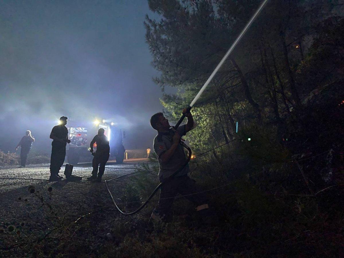 Muğla'da 9 gündür süren orman yangını, geceyi aydınlattı