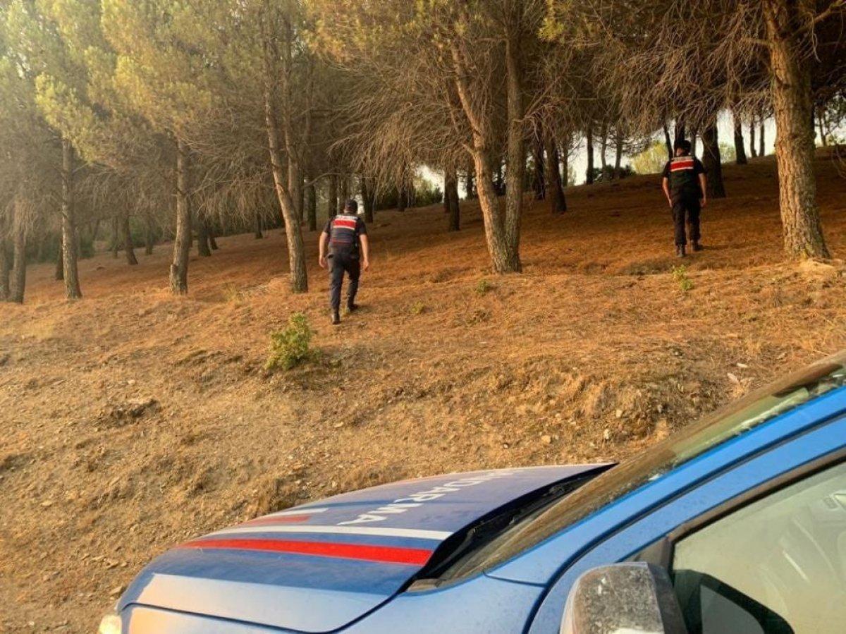 Manisa'da jandarma ekipleri ormanlık alanlarda denetimleri artırdı