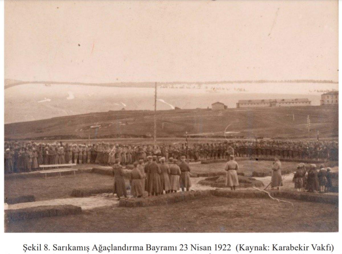 Vakanüvis yazdı: Ormanlar, barışta da savaşta da hayati önemde