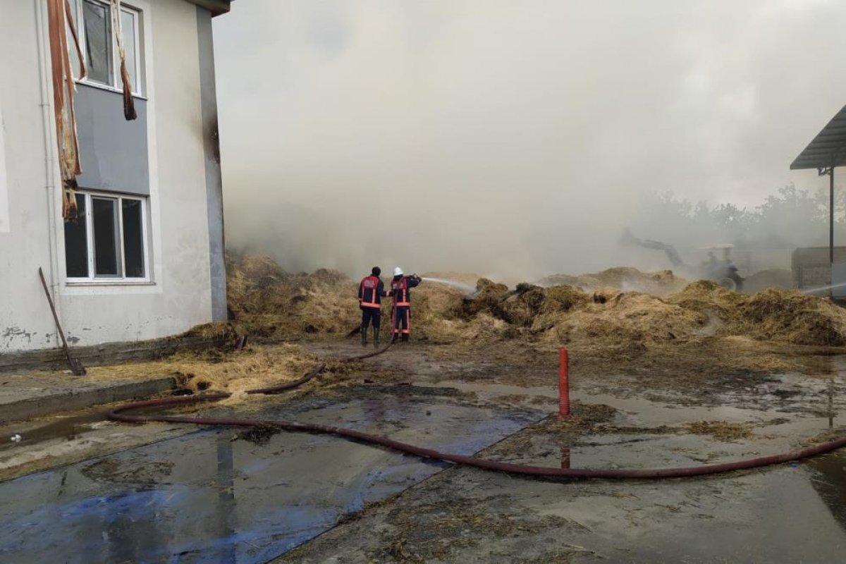 Malatya'da 100 ton saman yandı