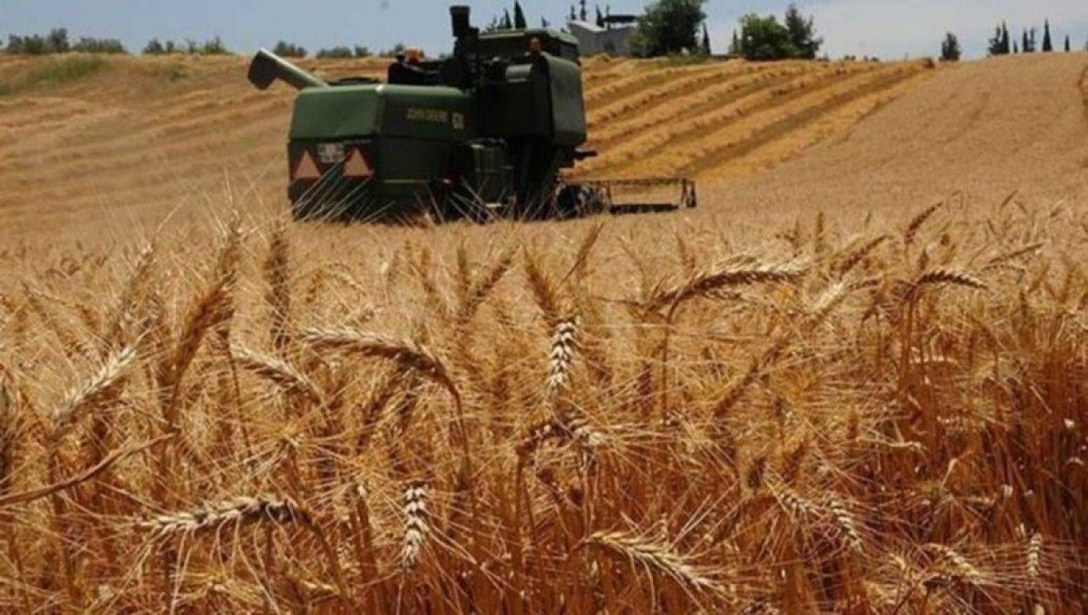 Üreticilere 210 milyon 44 bin 627 lira destek geldi